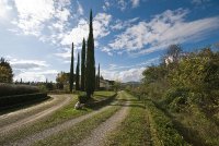 foto affitto porzione casale a 5 km da Siena