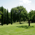 foto azienda agricola ad 8 km da Siena