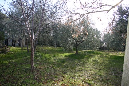 foto appartamento 3