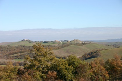 foto azienda agricola 2