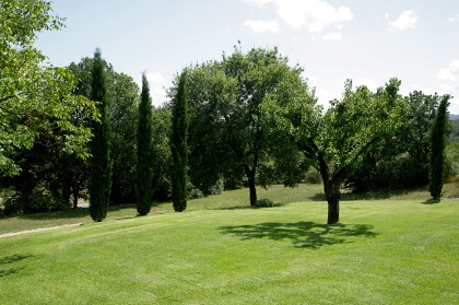 foto azienda agricola 3