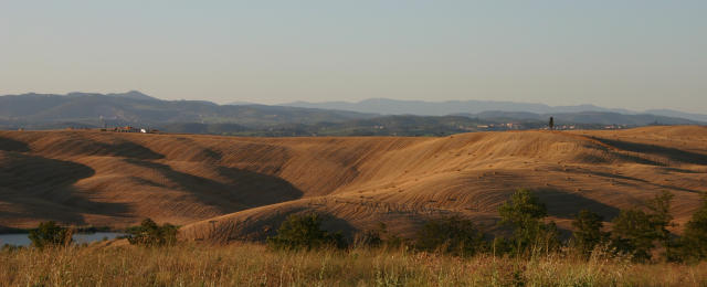 colline senesi