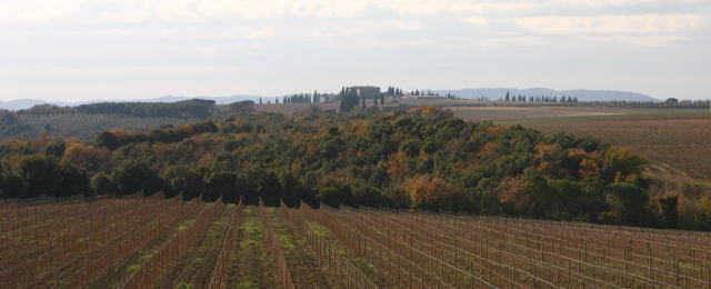 chianti