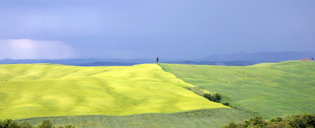 collina senese